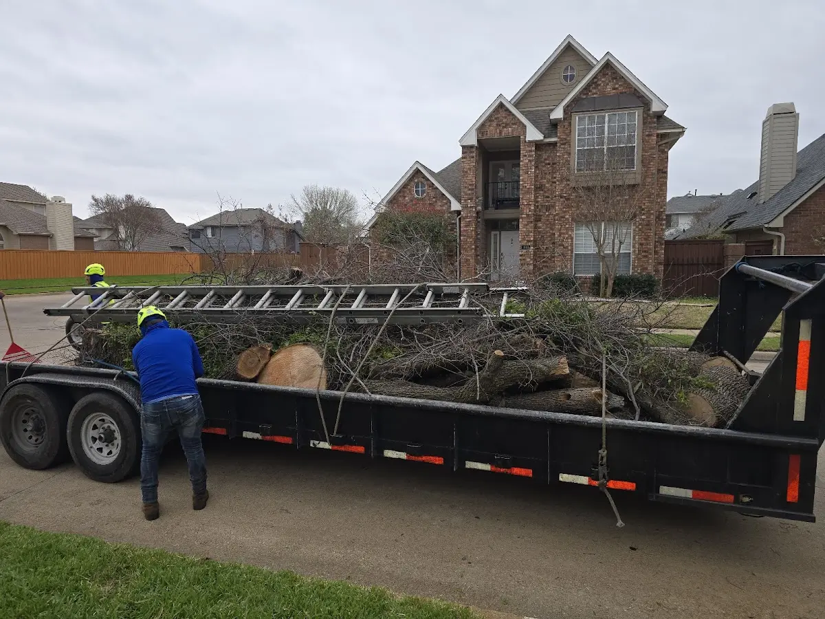 Expert Tree Fertilization with proper safety equipment in Summerfield